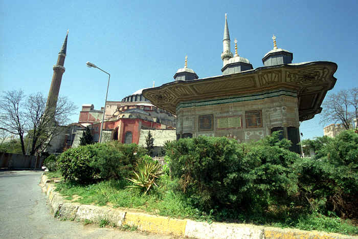 3123_03.jpg (87854 bytes)