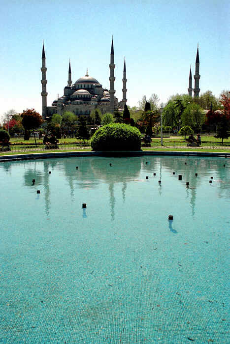 3123_01.jpg (35691 bytes)