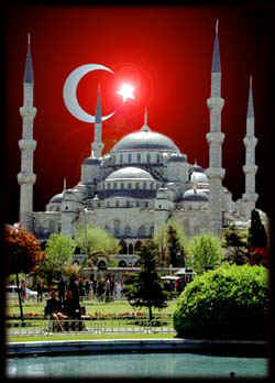 mesic2.jpg (35822 bytes)